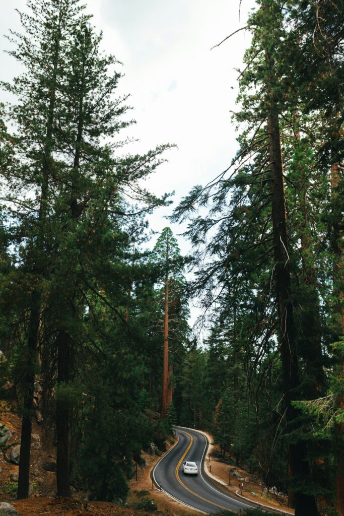 Three Rivers California: Gateway to Sequoia National Park