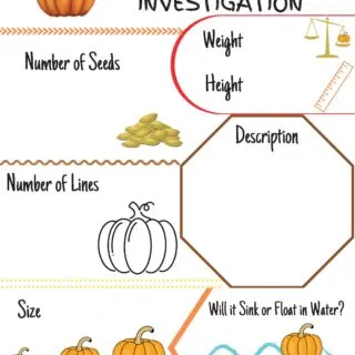 Pumpkin Investigation Worksheet: Fun Fall Science for Kids