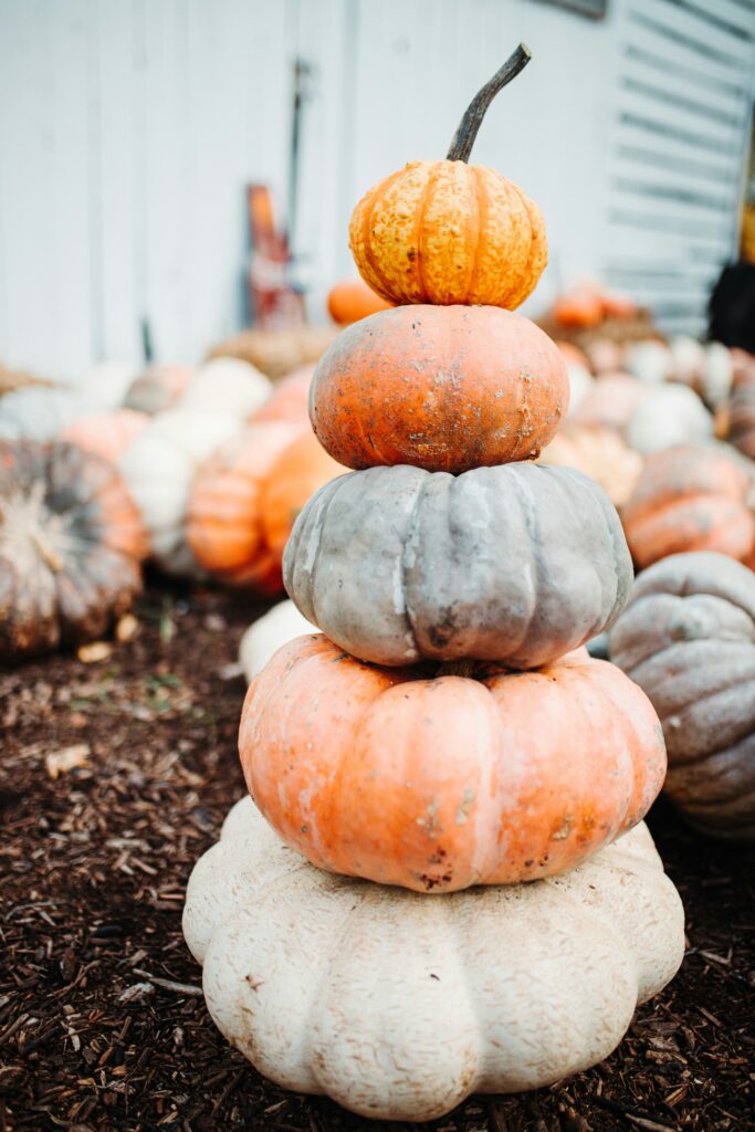 Halloween Events in California: Spooky Fun for All Ages