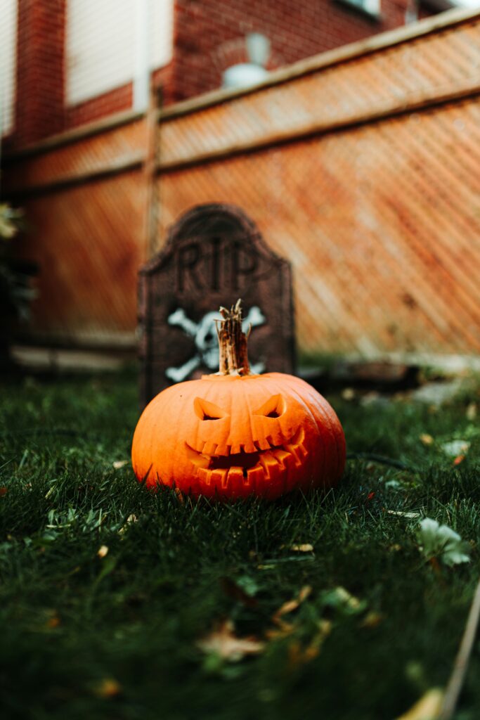 Best Pumpkin Patches in Southern California: Fall Fun for Everyone