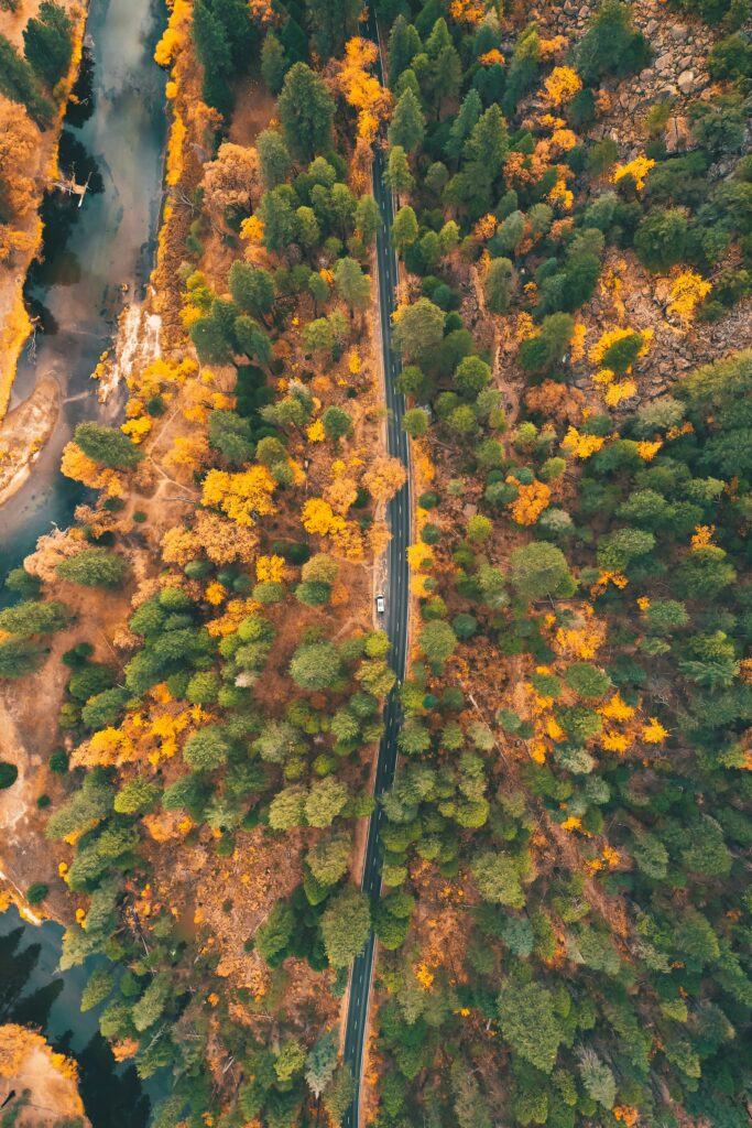 California's Fall Foliage: A Colorful Autumn Adventure