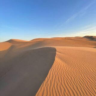 Best Sand Dunes in California: Top Spots for Desert Adventures