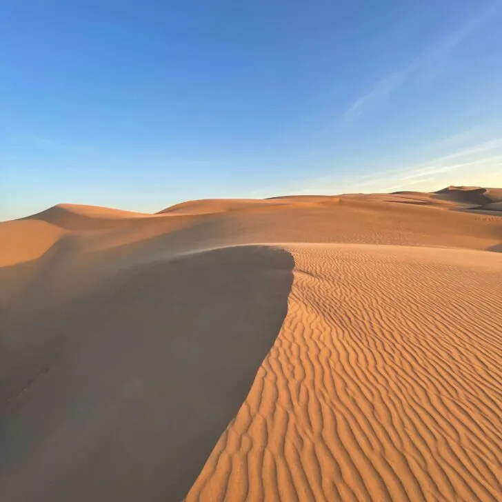 Best Sand Dunes in California: Top Spots for Desert Adventures