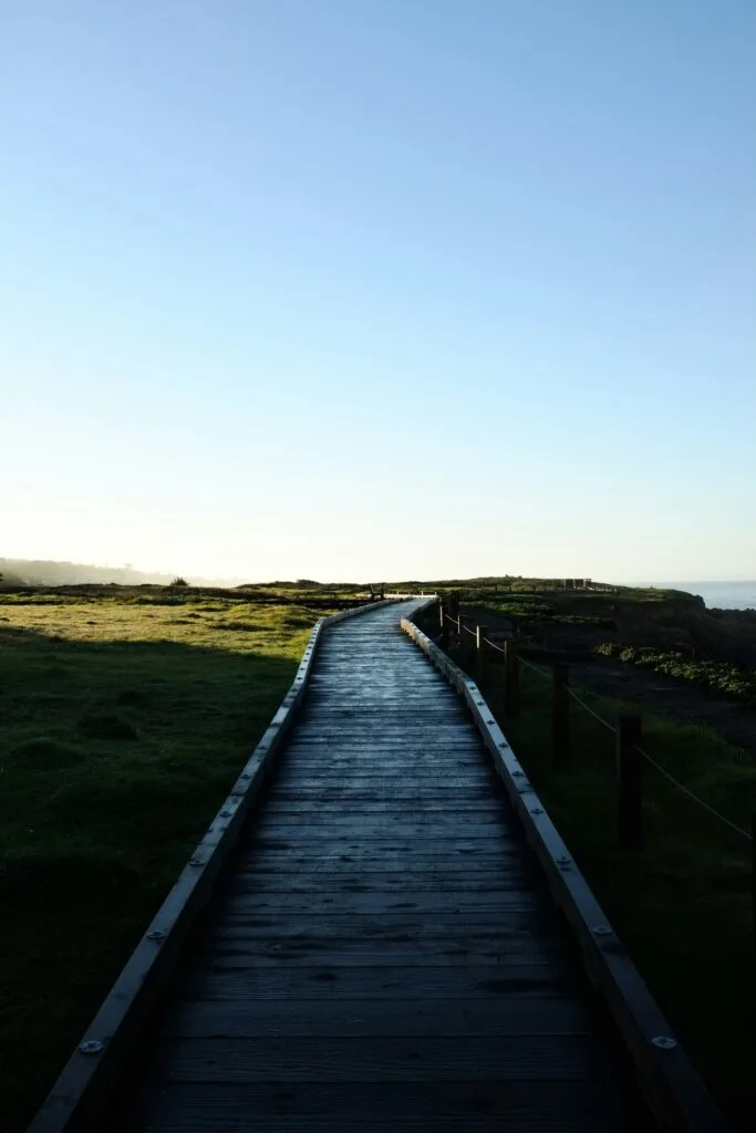 Scenic Boardwalks to Visit in California: Coastal Gems for Nature Lovers