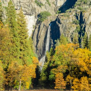 Scenic Fall Drives in California: Top Routes for Autumn Colors