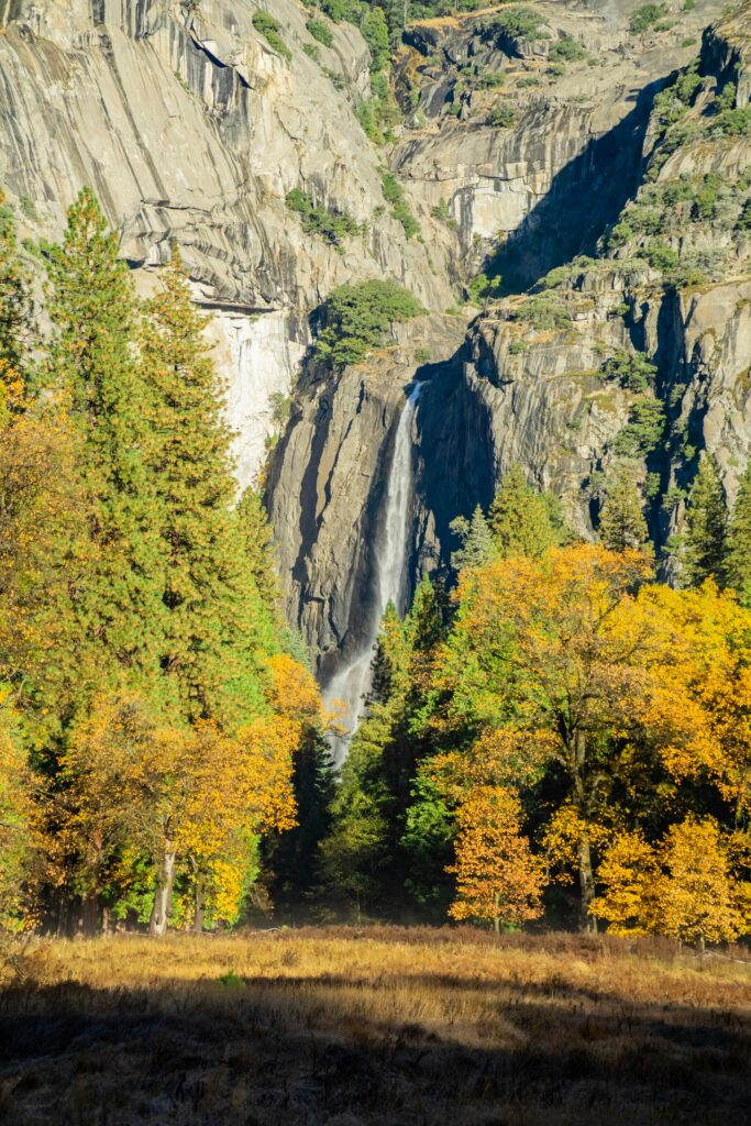 Scenic Fall Drives in California: Top Routes for Autumn Colors