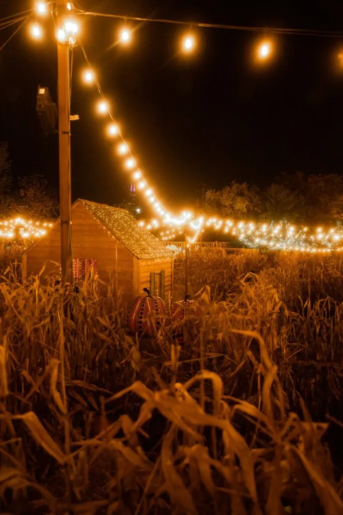 Halloween Events in California: Spooky Fun for All Ages