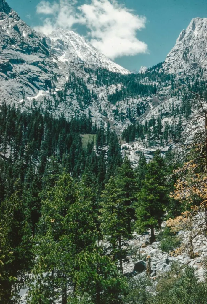 Tallest Mountain in California: Reaching New Heights at Mount Whitney