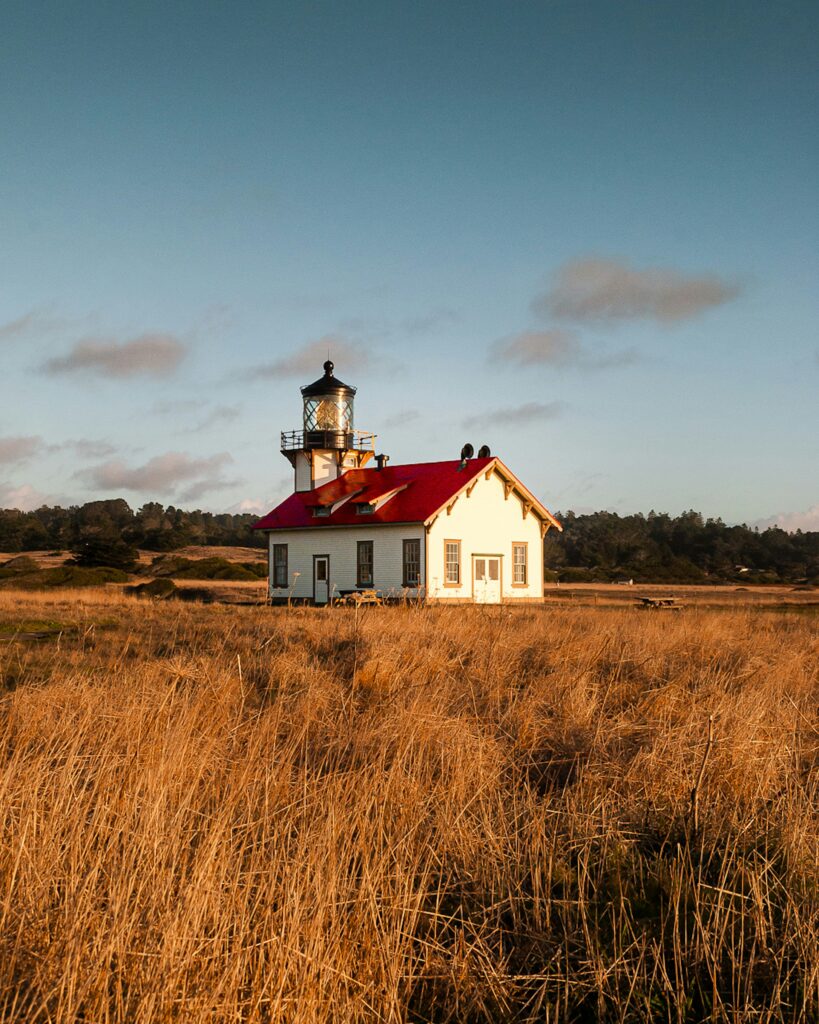 November Bucket List Ideas in California: Fun Fall Adventures for Golden State Explorers