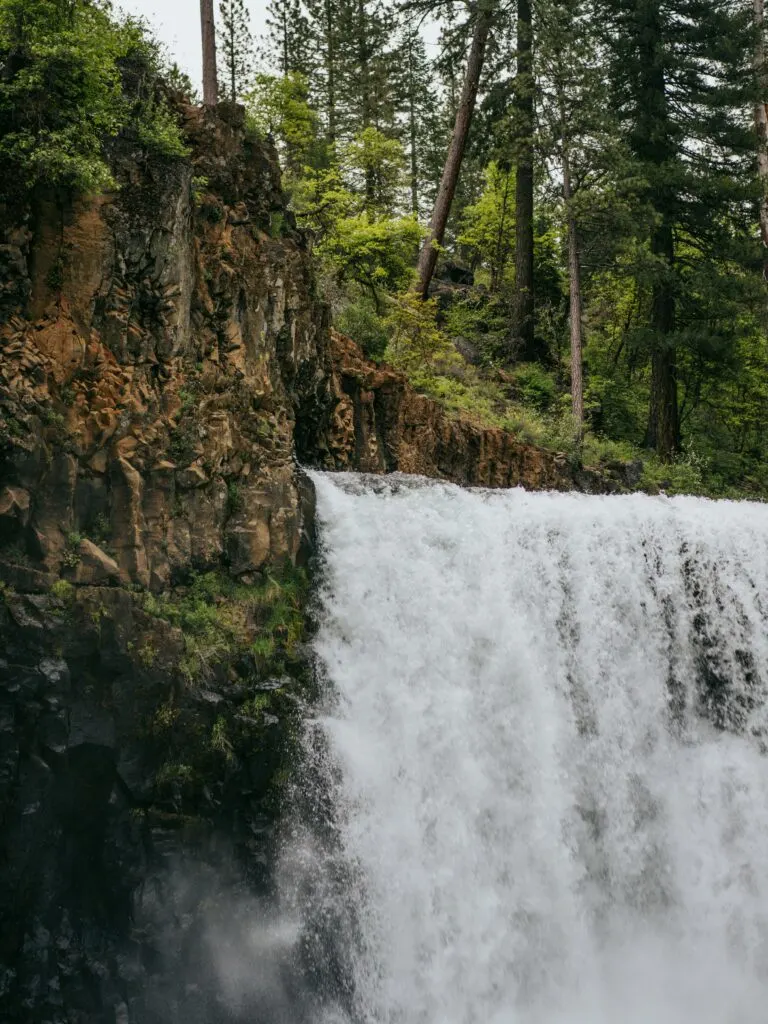 Guide to Fly Fishing Northern California: Top Spots for Anglers to Cast Their Lines