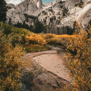 Unique Facts About Mount Whitney: 5 Surprising Tidbits You'll Love