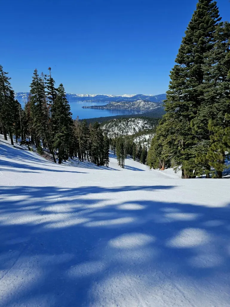 Where Does it Snow in California: Winter Wonderlands in the Golden State