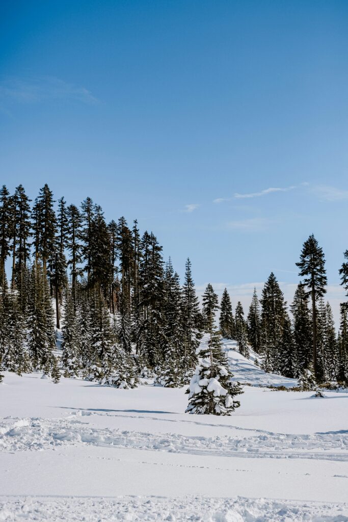 Where Does it Snow in California: Winter Wonderlands in the Golden State