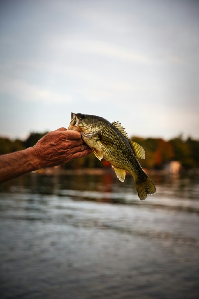 Fishing Lakes in Southern California: Top Spots for a Fun Family Outing