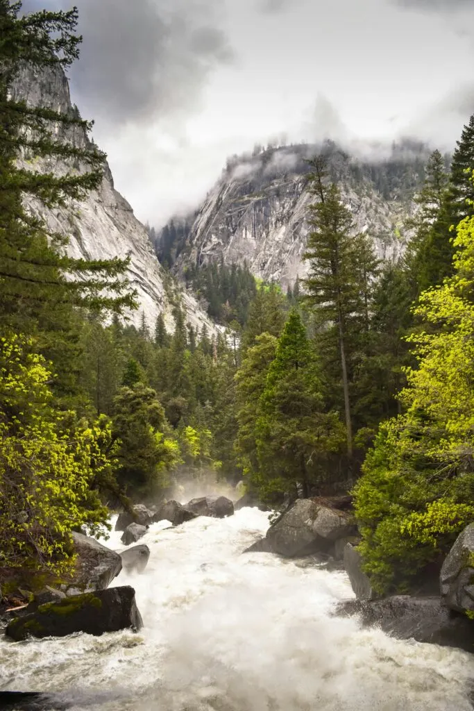 Local's Guide to Visiting the National Parks in California: Hidden Gems and Must-See Spots