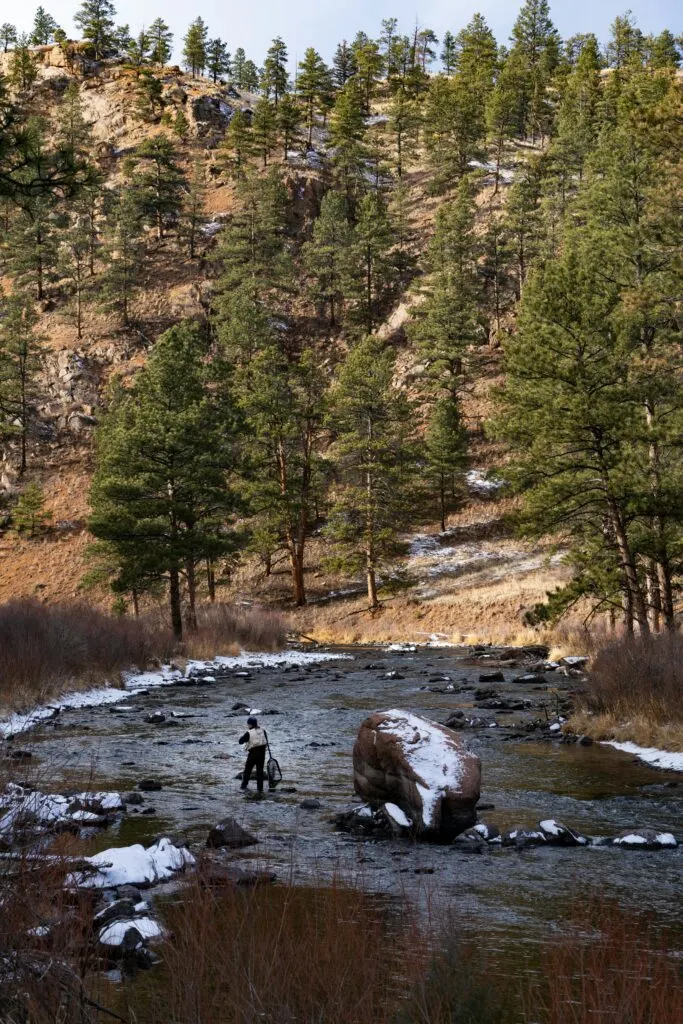 Guide to Fly Fishing Northern California: Top Spots for Anglers to Cast Their Lines