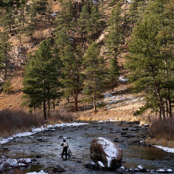 Guide to Fly Fishing Northern California: Top Spots for Anglers to Cast Their Lines