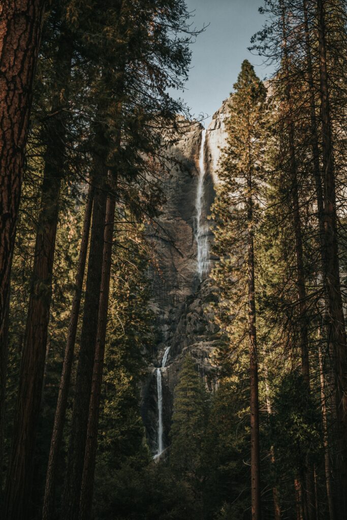 Secrets of Yosemite National Park: Hidden Wonders Await