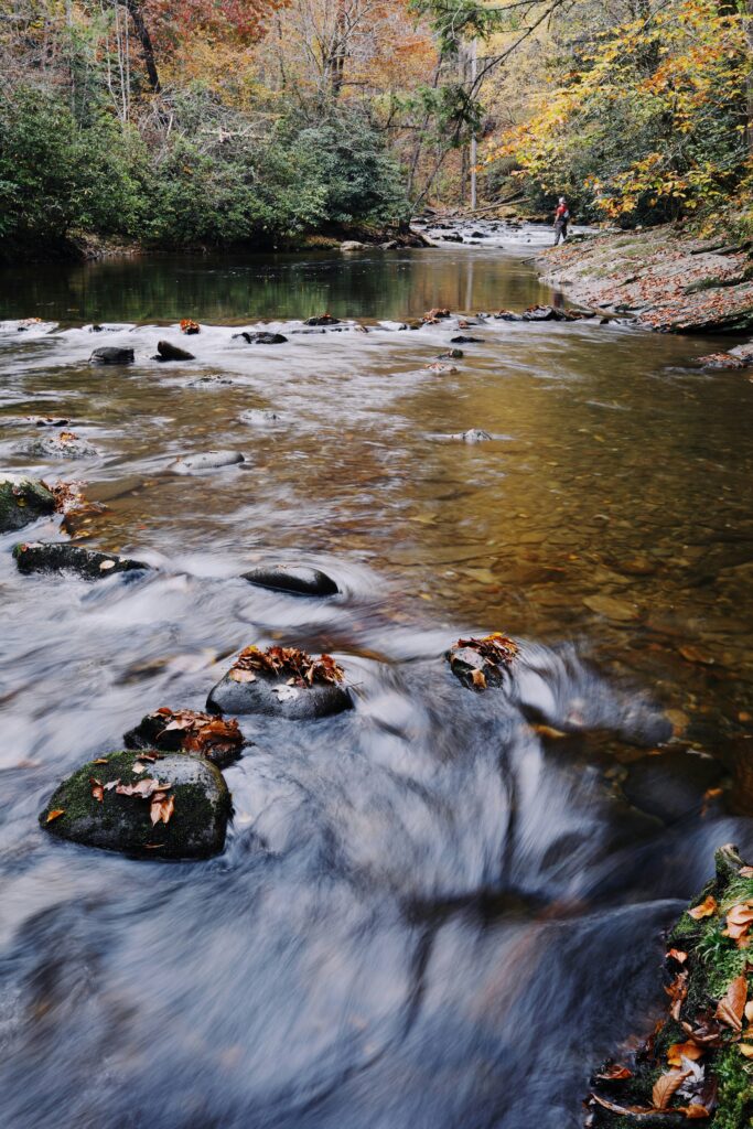 Guide to Fly Fishing Northern California: Top Spots for Anglers to Cast Their Lines