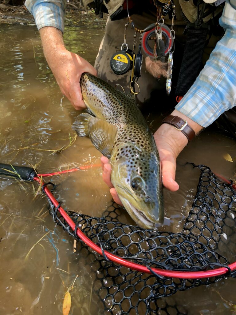 Guide to Fly Fishing Northern California: Top Spots for Anglers to Cast Their Lines