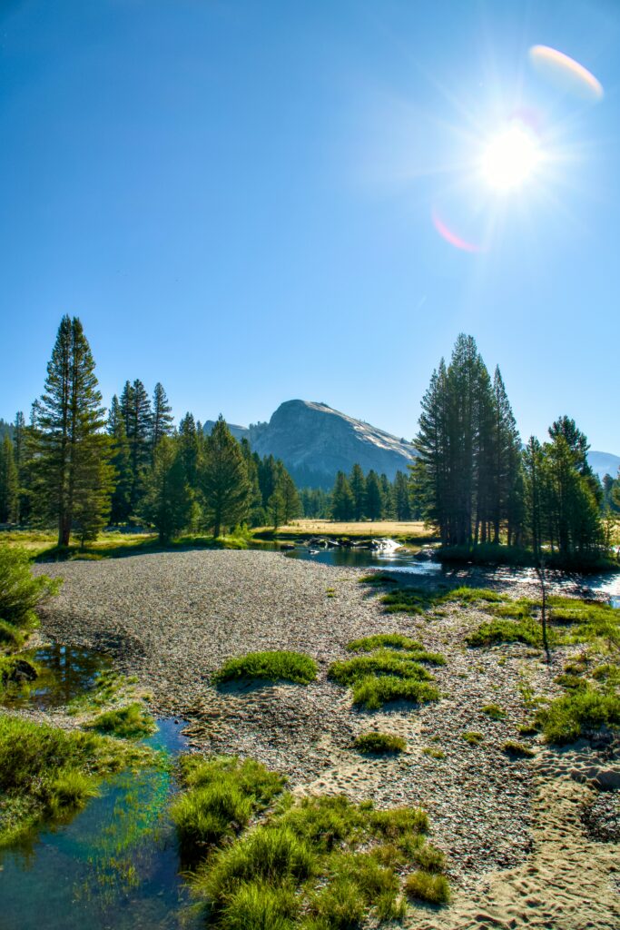 Local's Guide to Visiting the National Parks in California: Hidden Gems and Must-See Spots