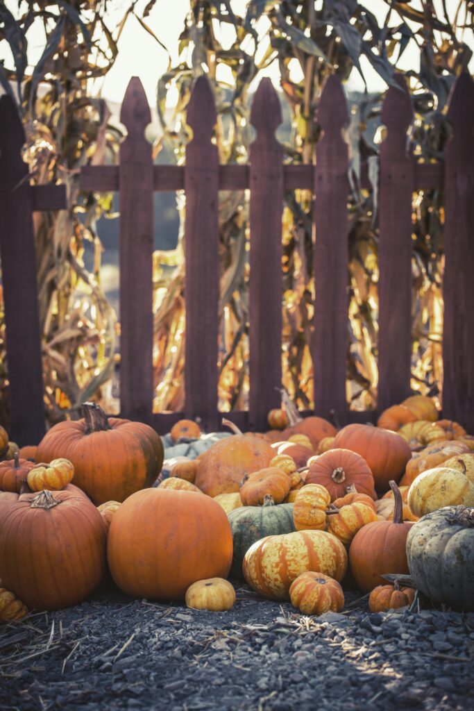 Things to Do in Southern California This Fall: Fun Autumn Adventures for Everyone