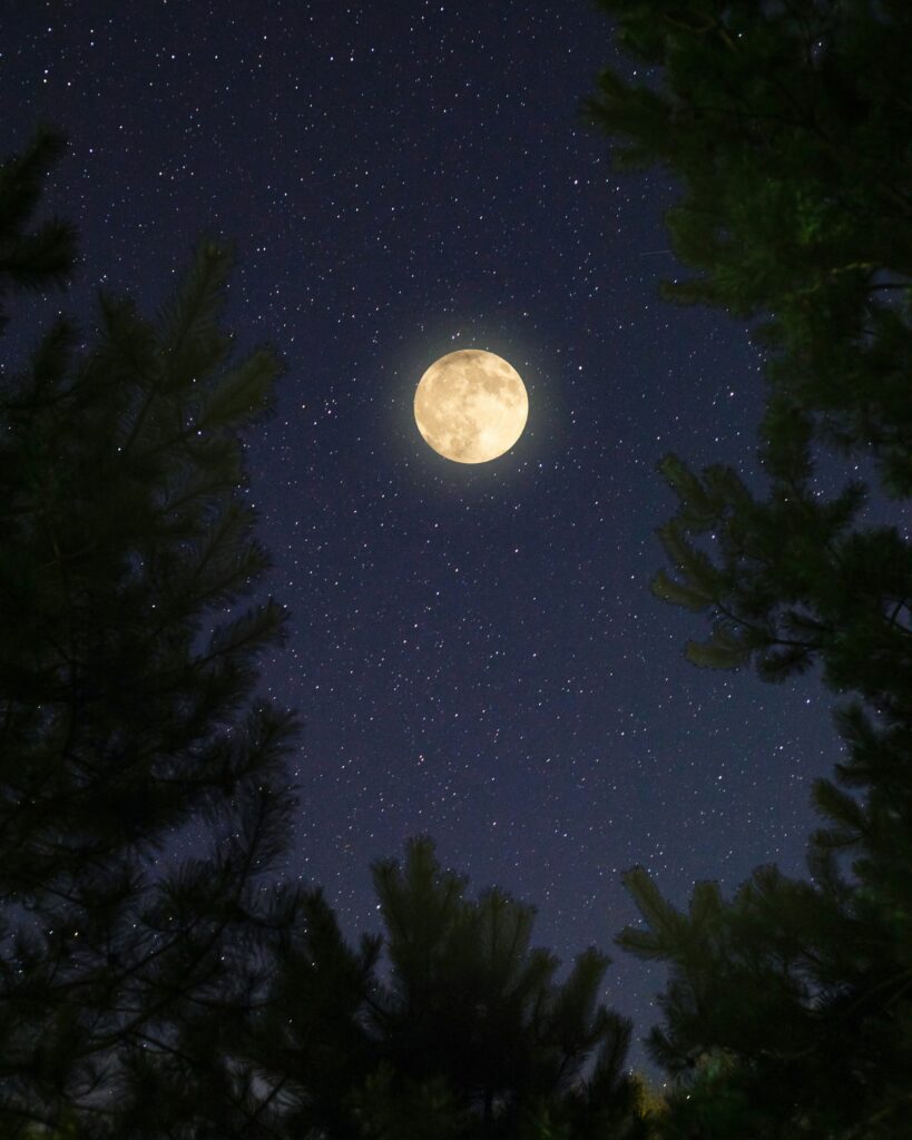 Hunter Supermoon Tonight: Brightest Full Moon of the Year Illuminates Autumn Sky