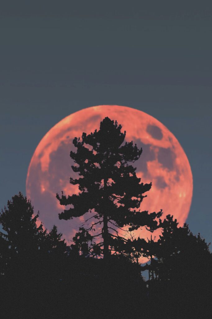 Hunter Supermoon Tonight: Brightest Full Moon of the Year Illuminates Autumn Sky