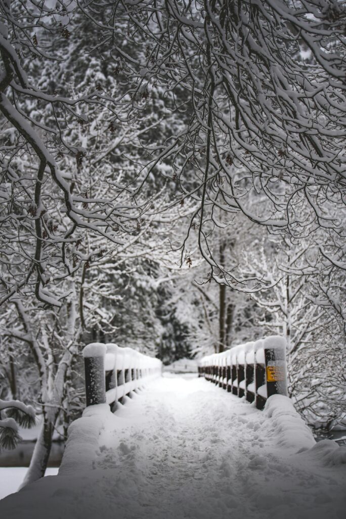 Yosemite National Park Winter Road Conditions: What to Know Before You Go