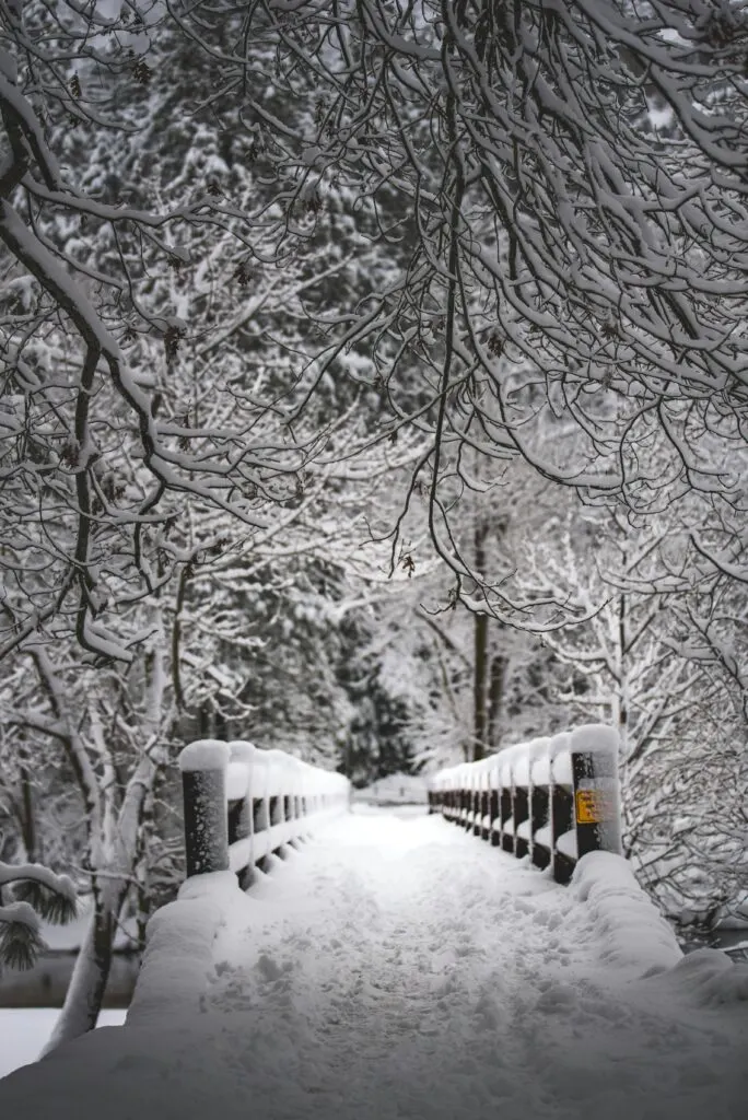 Yosemite National Park Winter Road Conditions: What to Know Before You Go