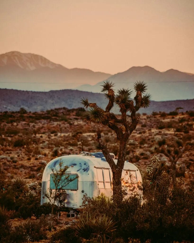 Camping in the Mojave Desert: A Stargazer's Paradise Under Clear Skies