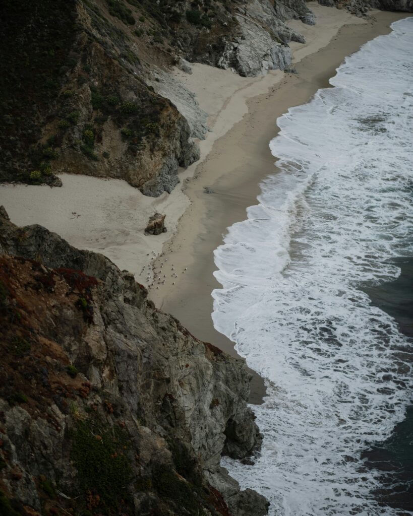 Southern California Doomsday Fish: Mysterious Creatures Appear in Local Waters