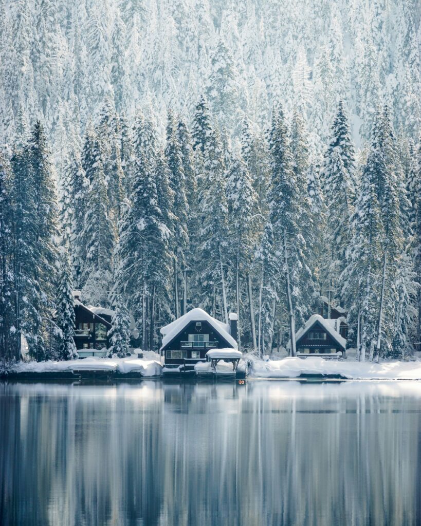 How to Experience a California Christmas: Sun, Sand, and Holiday Cheer