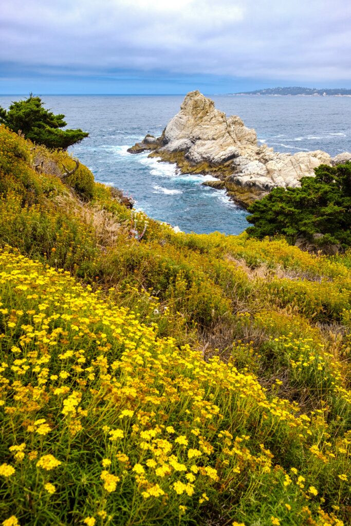 Local's Guide to McWay Falls: Hidden Gem of Big Sur