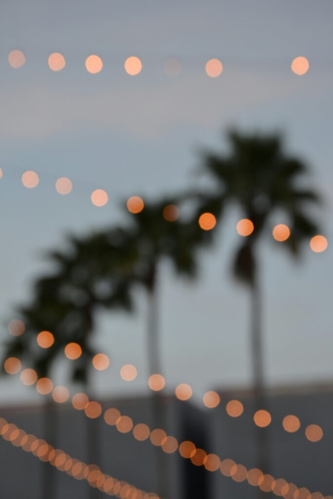 How to Experience a California Christmas: Sun, Sand, and Holiday Cheer