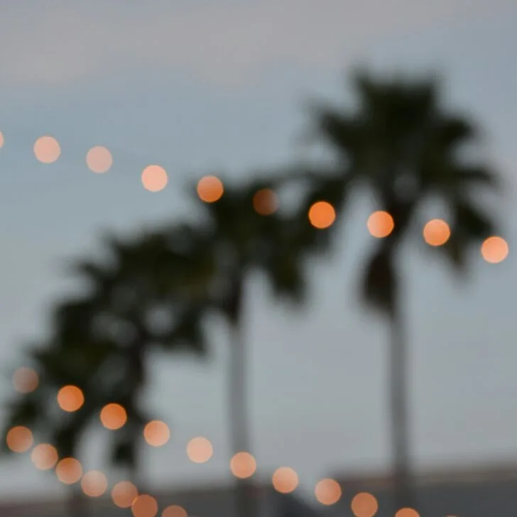 How to Experience a California Christmas: Sun, Sand, and Holiday Cheer