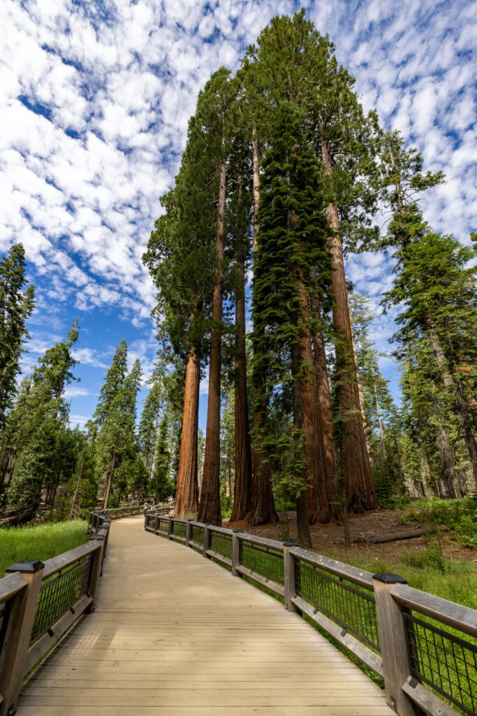 California Mountain Ranges: A Friendly Guide to Golden State Heights