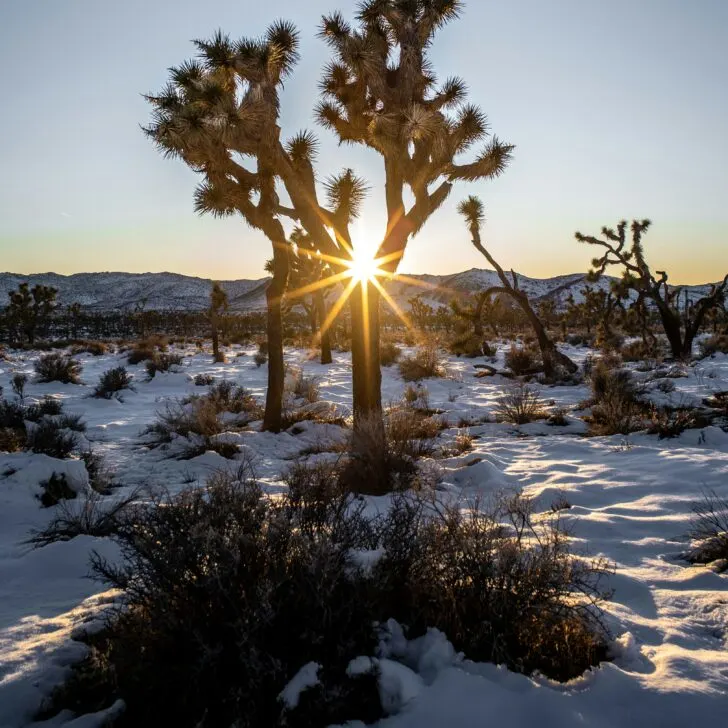 National Parks in California Ranked Best to Worst: Your Ultimate Golden State Adventure Guide