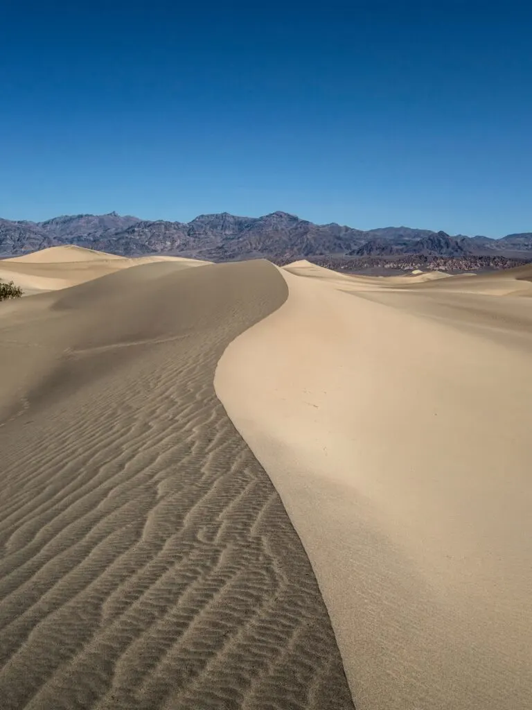 Camping in the Mojave Desert: A Stargazer's Paradise Under Clear Skies