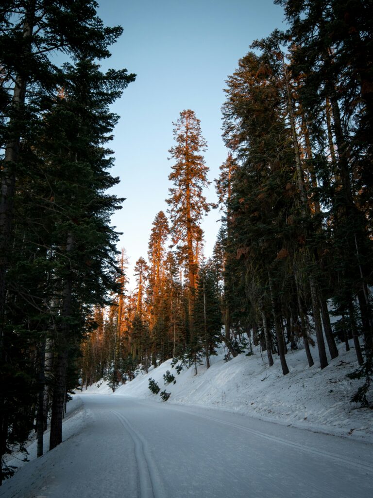 Yosemite National Park Winter Road Conditions: What to Know Before You Go