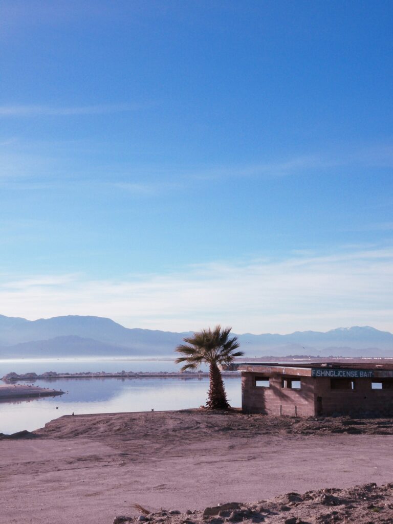 Visiting the Largest Lake in California: A Scenic Adventure at Salton Sea