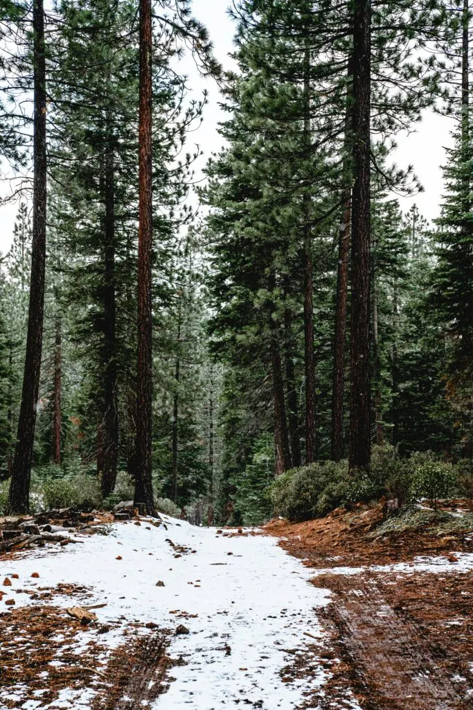 BLM Land Map California: Your Guide to Exploring Public Lands