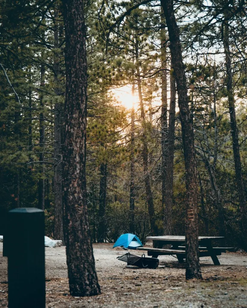 Explore Idyllwild-Pine Cove: A Cozy Mountain Getawa