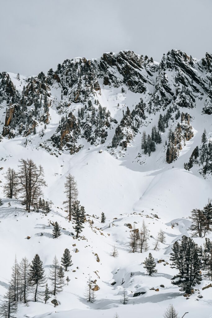 Mammoth Avalanche: Multiple Slides Hit Eastern Sierra Ski Resorts Area