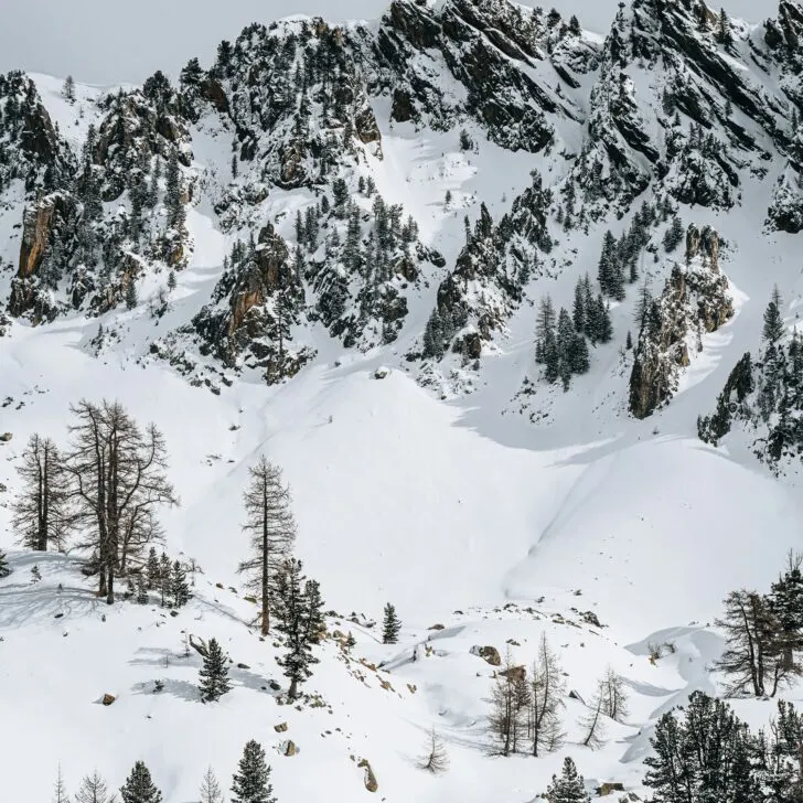 Mammoth Avalanche: Multiple Slides Hit Eastern Sierra Ski Resorts Area 1