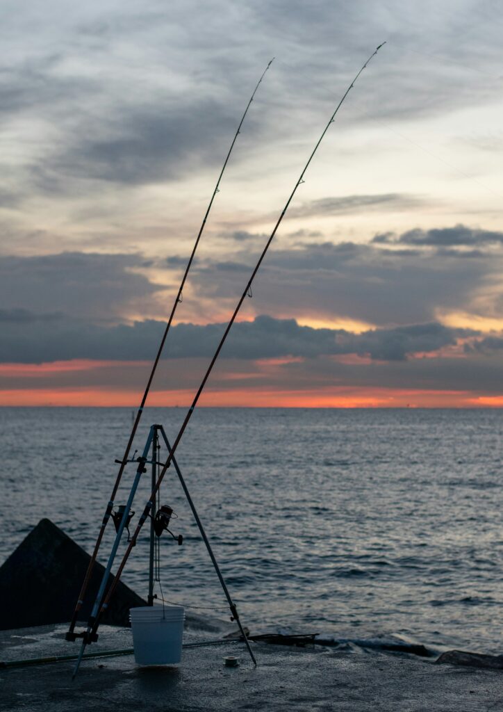 Guide to Getting Your Fishing License California: 2025 Requirements and Costs