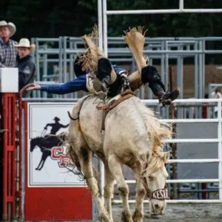 Guide to the 2025 Riverside County Fair: Dates, Events, and Essential Information