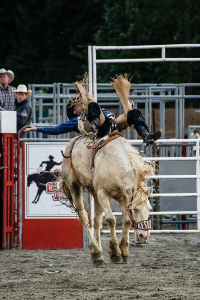 Guide to the 2025 Riverside County Fair: Dates, Events, and Essential Information