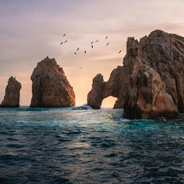 Visit the Gulf of California: A Complete Guide to Mexico's Sea of Cortez