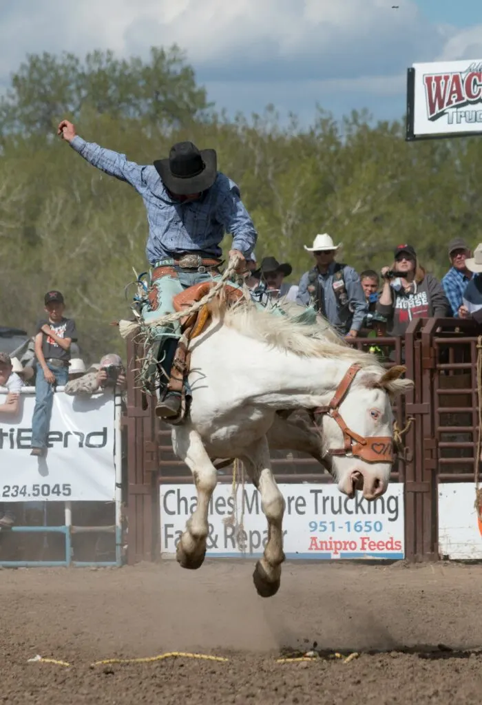 Guide to the 2025 Riverside County Fair: Dates, Events, and Essential Information